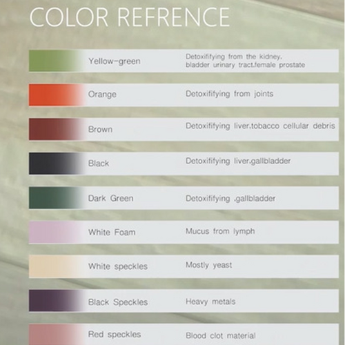 Detox Foot Spa System